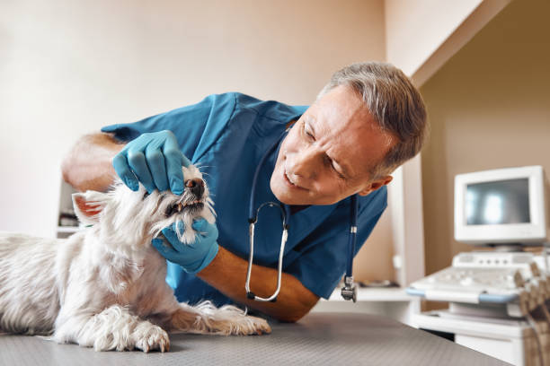 Best Emergency Wisdom Teeth Removal in Wautoma, WI